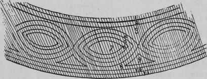 Communications Ribbon Beds 12