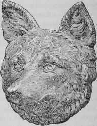 Imitation Of Inlaid Wood 44