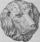 Imitation Of Inlaid Wood 47