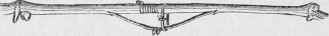 March 1881 Fruit And Vegetable Gardening Seasonabl 6