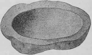 Transportation Of Cut Flowers 20