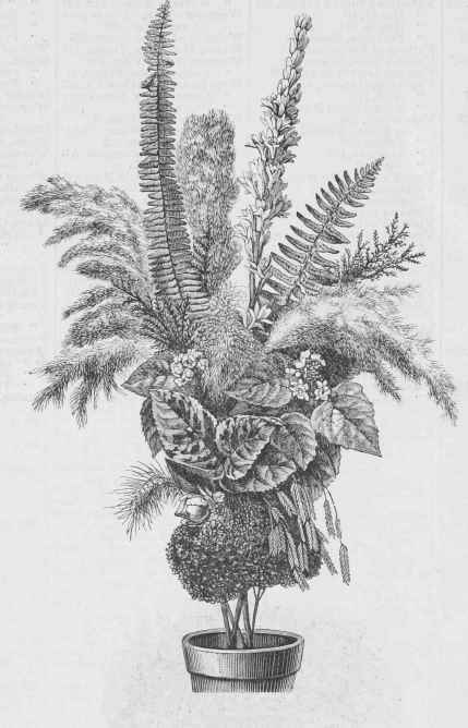 Summitt County Ohio Horticultural Society 63