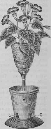 Improved Flower Pots 59
