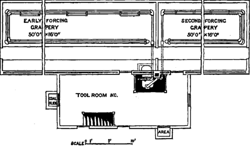 Plan Of Forcing Grapery.
