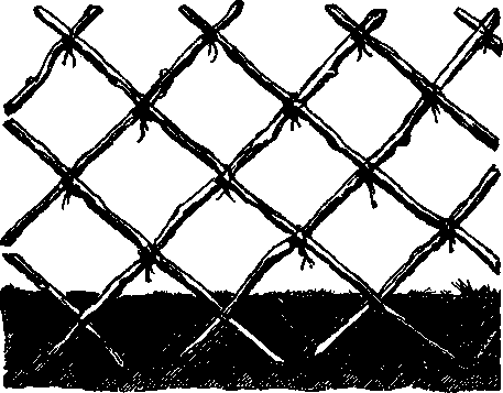 Rustic Trellis.