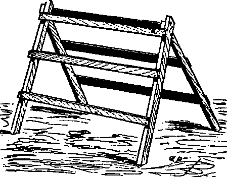 Tomato Trellis.