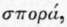 1 Pittosporum 69