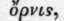 16 Ornithogalum 465
