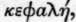 8 Dracocesphalum 352