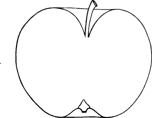 Rochester Pippin 260014