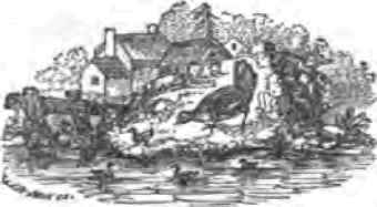 Belmont Residence Of J V D Berrier Near Belleville 40046