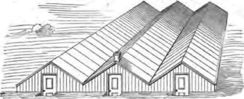 Perspective View of Calder's Houses   Hot water, boiler, etc., in end of middle house.