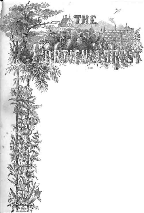 The Horticulturist and Journal Of Rural Art and Rural Taste.