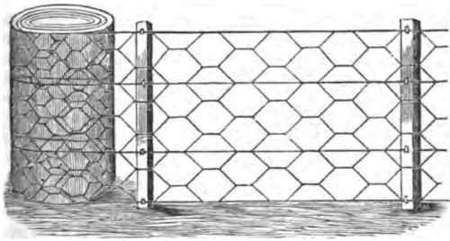 The Lowell Wire Fencing 110040