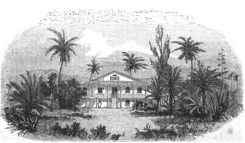 CAROLINA HOUSE, ISLAND OF CUBA L. MONSON, PROPRIETOR.