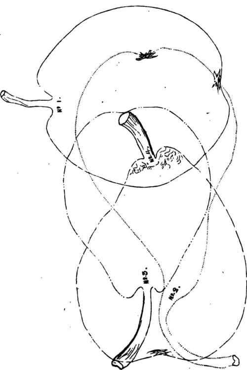 No. 1. General de Lourmel. No. 8. Marechal Pellssier.