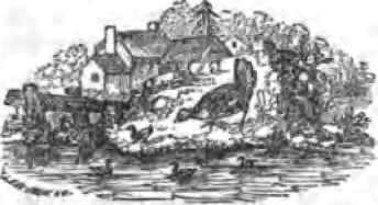 Ornamental Grounds At Hamilton College 400101