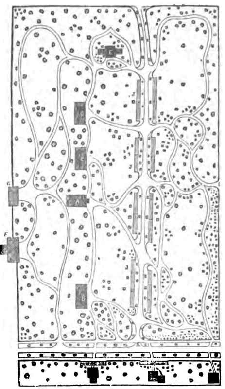 PLAN of GROUNDs AT HAMILTON COLLEGE.