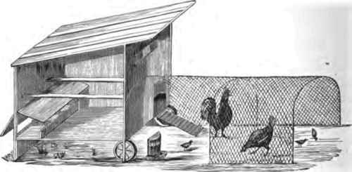 Portable Poultry House.