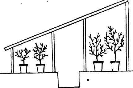 Section of a Lean to Orchard House.