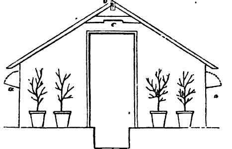 Section of the Small Span roofed Orchard House.