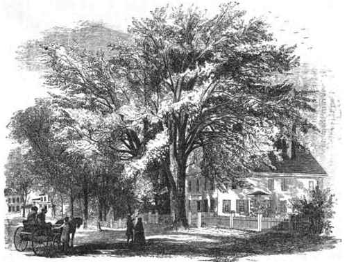 THE OLD 8TICKNEY RESIDENCE, CONCORD, N. II.