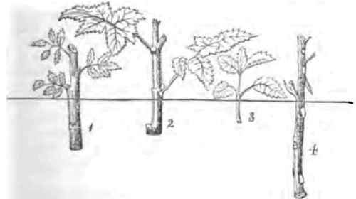 Management Of Cuttings Continued 150049