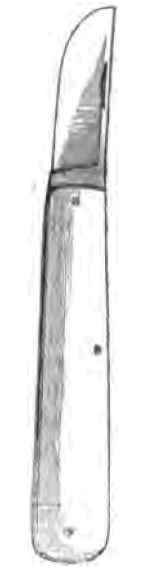 Propagating Plants By Budding 2200176