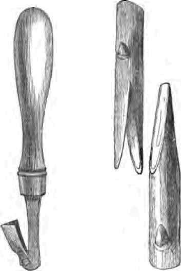 Propagating Plants By Grafting 230010