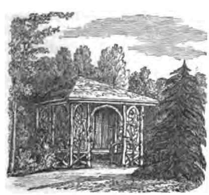 ARBOR.