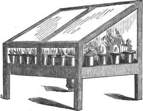 The Waltonian Propagating Case 1300110