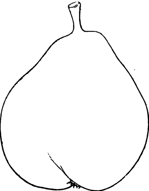 Doyenes du Cornies d'Angers