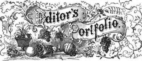 Fruit In Texas 280042