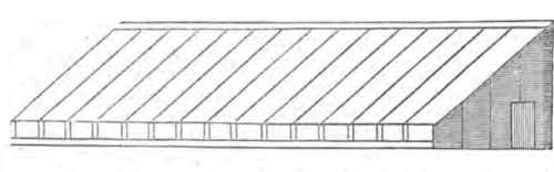 The Glass Roofed Fruit Shed 160073