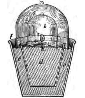 Cuttings Of The Leaves 2200110