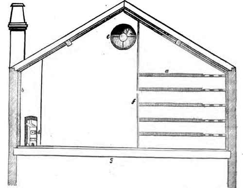 LONGITUDINAL SECTION.