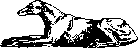 The Great English Rose Exhibition 1300113