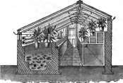 End section of a useful short back roof forcing house.