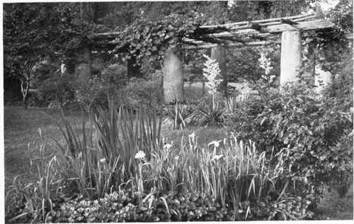 Fig. 154.   Stucco columns with rustic superstructure.   See page 193.