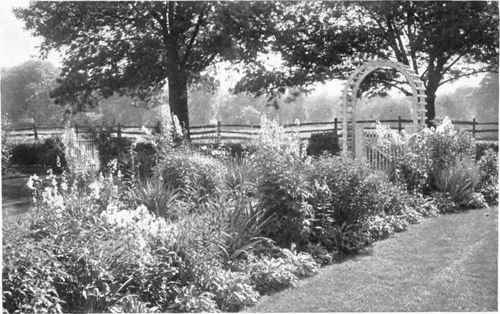 Fig. 161.   An attractively planted border showing what a pleasing effect may be produced with a small variety of plants. The Delphiniums give height and dignity to the scene, and the Iris and Funkias an agreeable contrast of foliage.   See page 200.