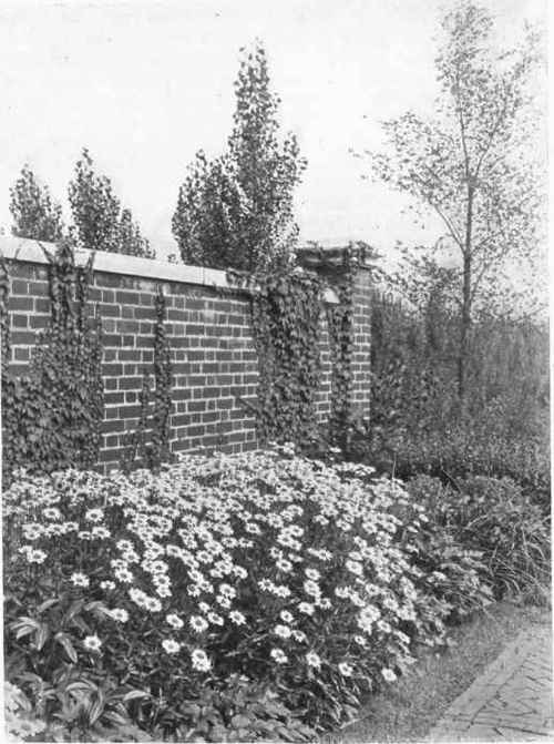 Fig. 166.   Better effects may be secured in hardy border through planting in clumps rather than scattering single plants all through the border. Note turf edge between walk and bed.   See pages 197, 204.