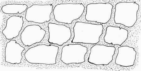 Fig. 54.   Field stones laid in turf are very pleasing where a walk of some width is desired. See page 54.