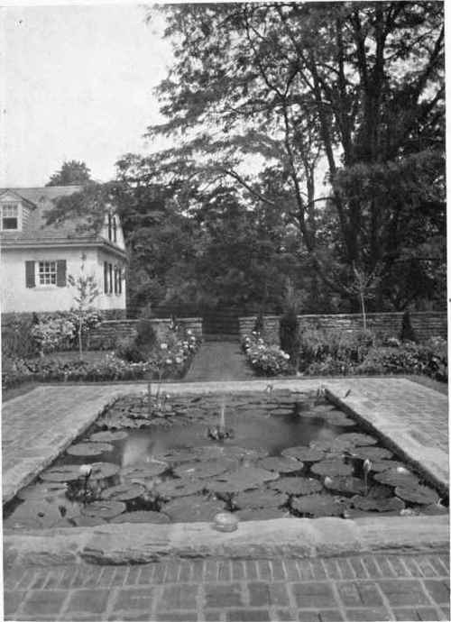 GARDEN POOL WITH WATER LILIES