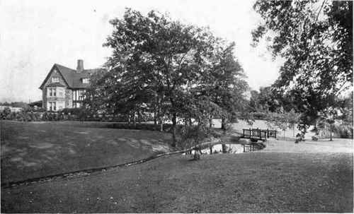 LAWNS GRADED AROUND TREES