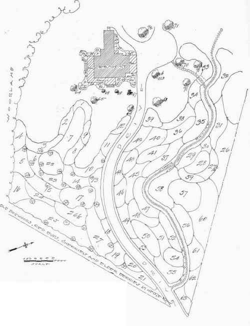 Planting Plan   Fig. 186. Lot is 360x480 ft. See Key, pages 259 and 261.