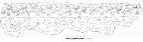 Planting Plan. Fig. 95.
