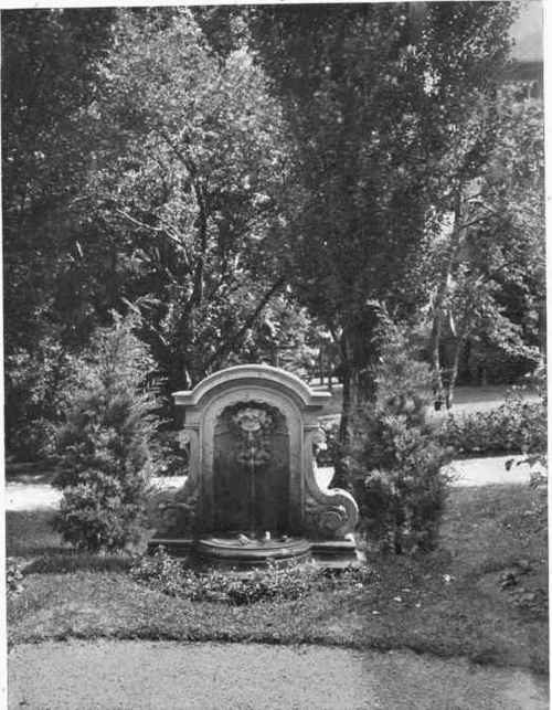 THE BIRD BATH