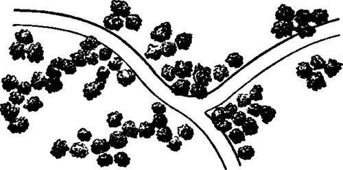 Trees Grouped to Produce the Picturesque.