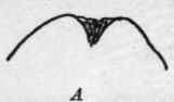 Basin 44