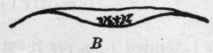 Basin 45